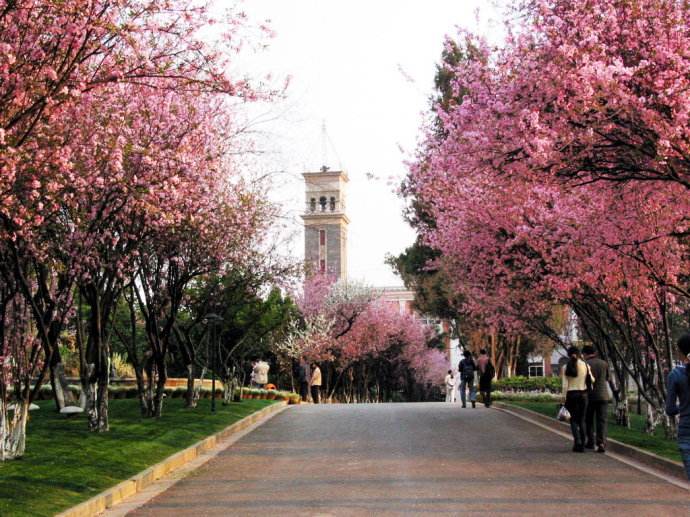 云南大学2019年招收旅游管理硕士学位研究生（MTA，非全日制） 复试报到须知